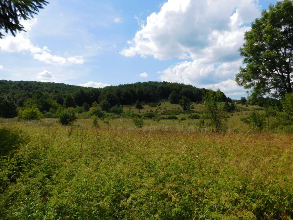 Vacation House Home, Plitvice Lakes National Park Plitvička Jezera Εξωτερικό φωτογραφία