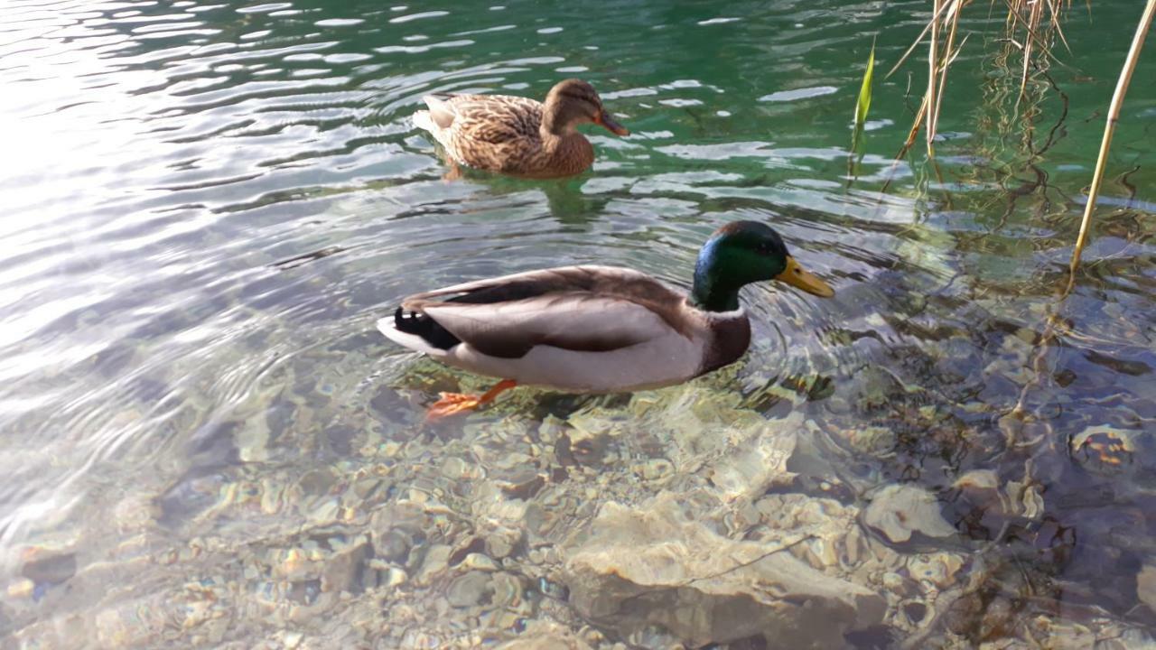 Vacation House Home, Plitvice Lakes National Park Plitvička Jezera Εξωτερικό φωτογραφία