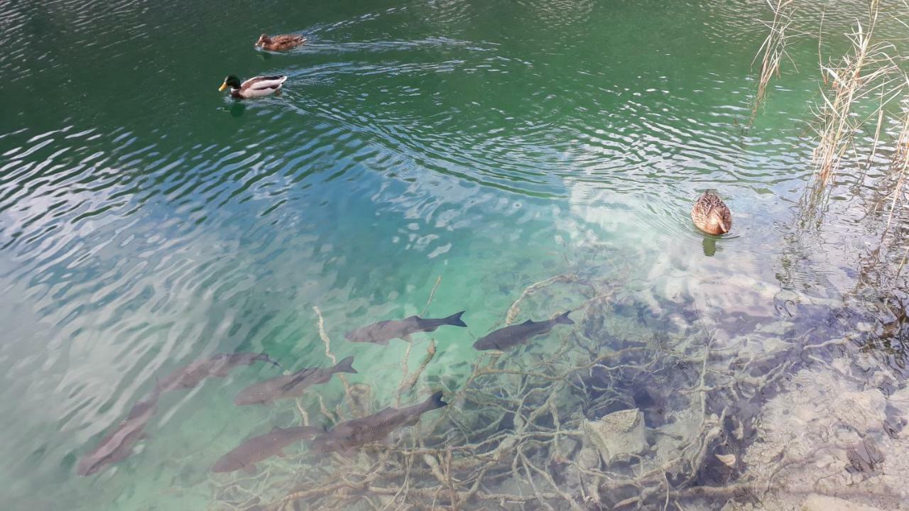 Vacation House Home, Plitvice Lakes National Park Plitvička Jezera Εξωτερικό φωτογραφία