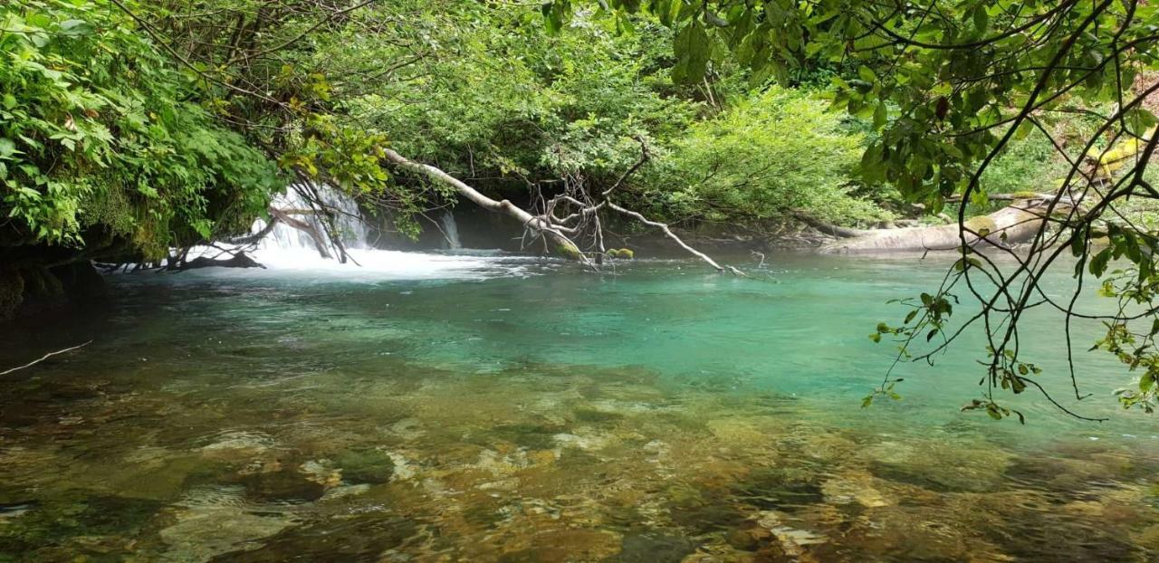 Vacation House Home, Plitvice Lakes National Park Plitvička Jezera Εξωτερικό φωτογραφία